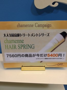 ヘアスプリング３