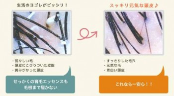 E1507009-4909-4F8D-9F25-EC1B487B53B5