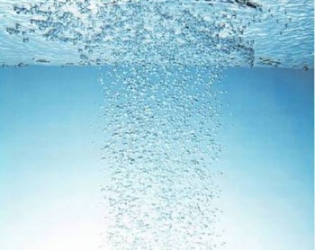 61BD0DCA-53C6-449E-9520-8F75385542CE