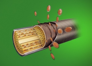 ED3FAAA8-4FCC-4D68-A8B3-4E71679B74C4