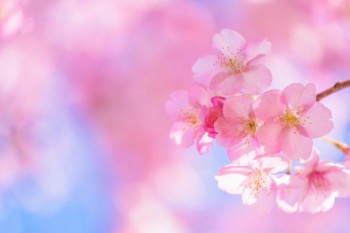A617D848-8B64-4F51-A7ED-94A2FF243BC2