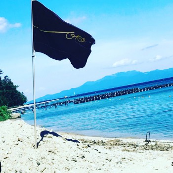 593C9E4B-CEDA-4522-BC84-7804339F4985