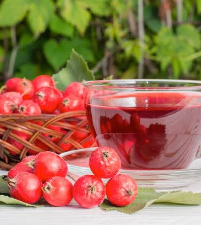 5D94F44D-5952-4973-9788-843030BB0BEA