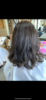 C15CACA5-3928-4507-87B1-113FF2B52D69