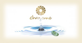 97E2F1A3-C798-4619-B518-7EB810B8DFCE