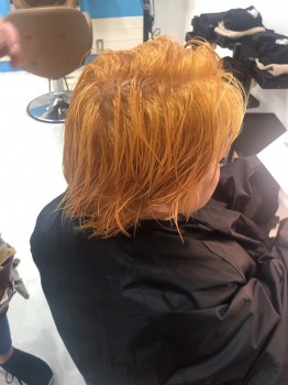 003B29DE-558B-4EAE-9E86-3ECFA854C2DB