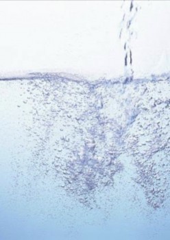 1F026E27-F71B-4DEA-B5C4-BFCC5565505F