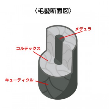8A7ED021-160F-4344-821D-241CF7D0C23C