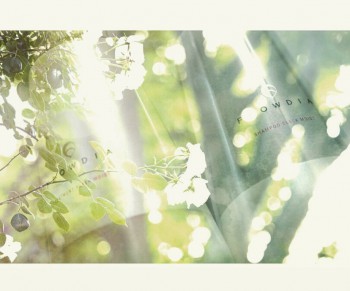 BC379D87-25E1-4471-BEA4-E256AE9A349C