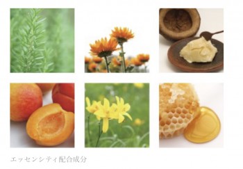 A845412C-7F47-41D1-88A5-C895A1D62538