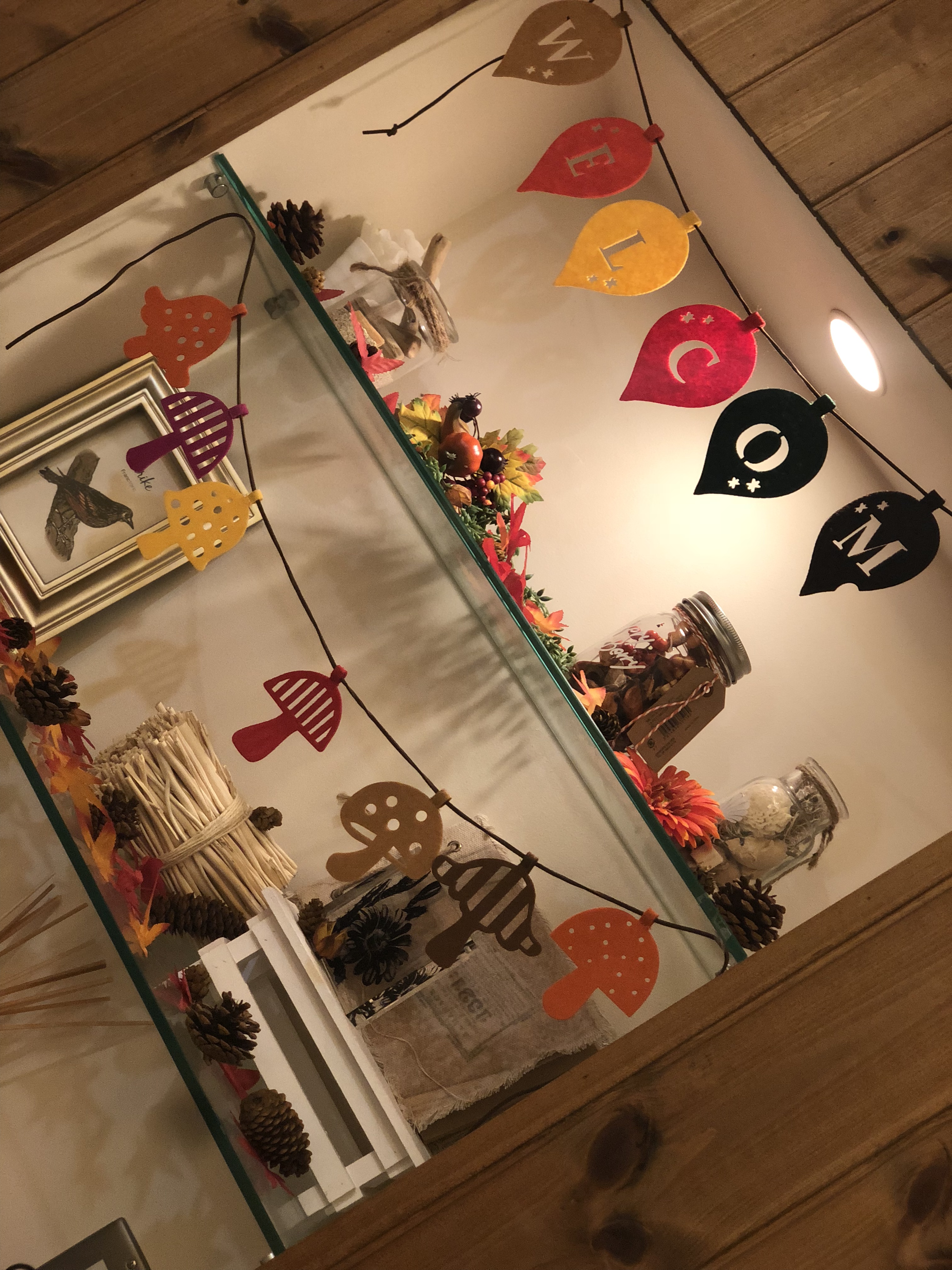 61702D32-A8A3-472A-B0AB-F8E16DAF2654