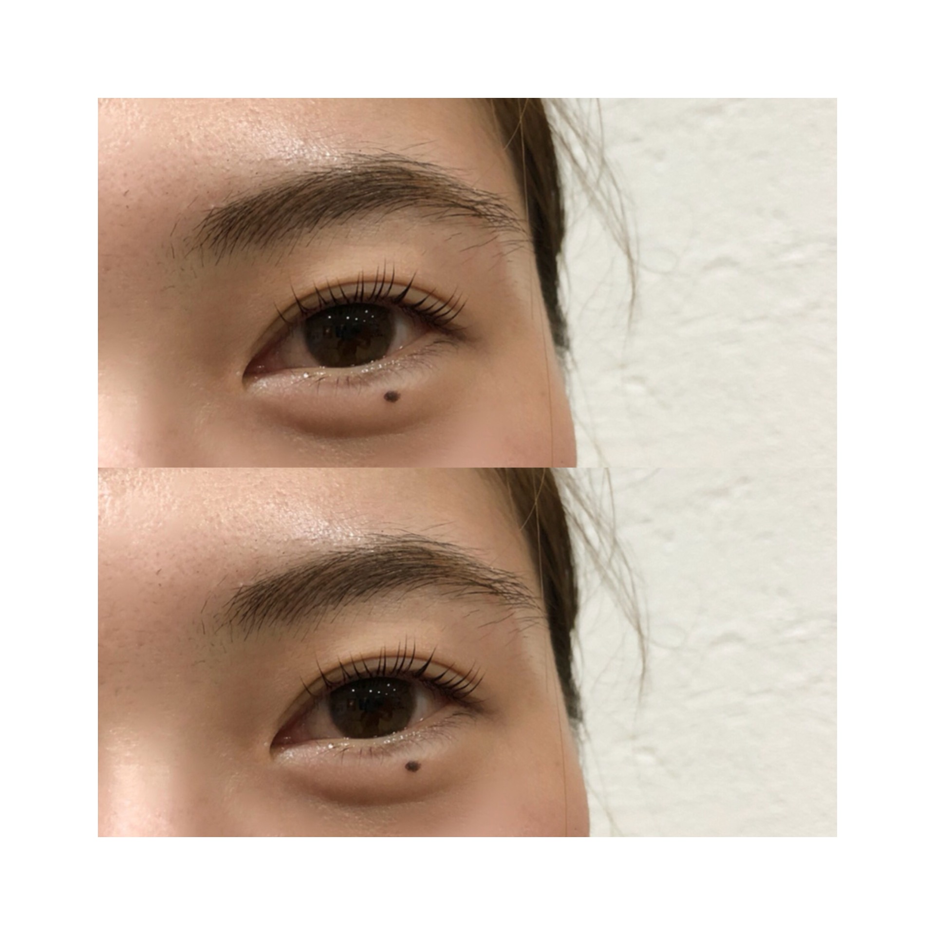 621CFB8C-40D7-40E4-8217-C4E7D11E52A6