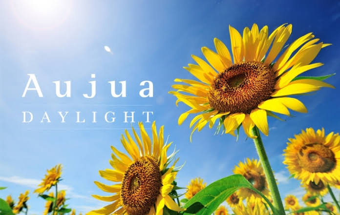 776B0F53-FA7D-4490-91F0-4D3C68F00820