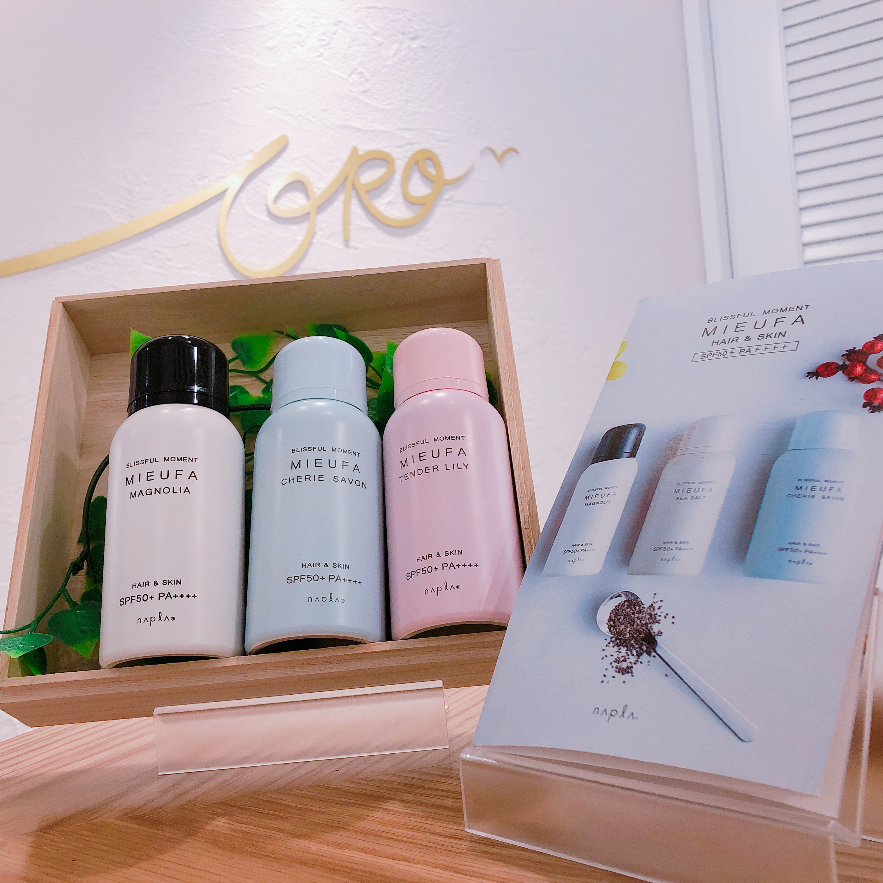 307C66A6-EABB-4802-9B21-522BDDA564EE