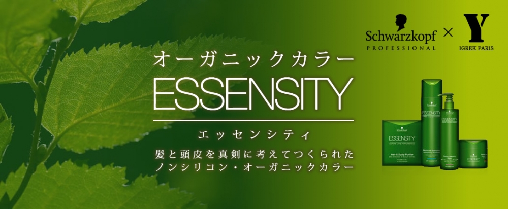essensity2