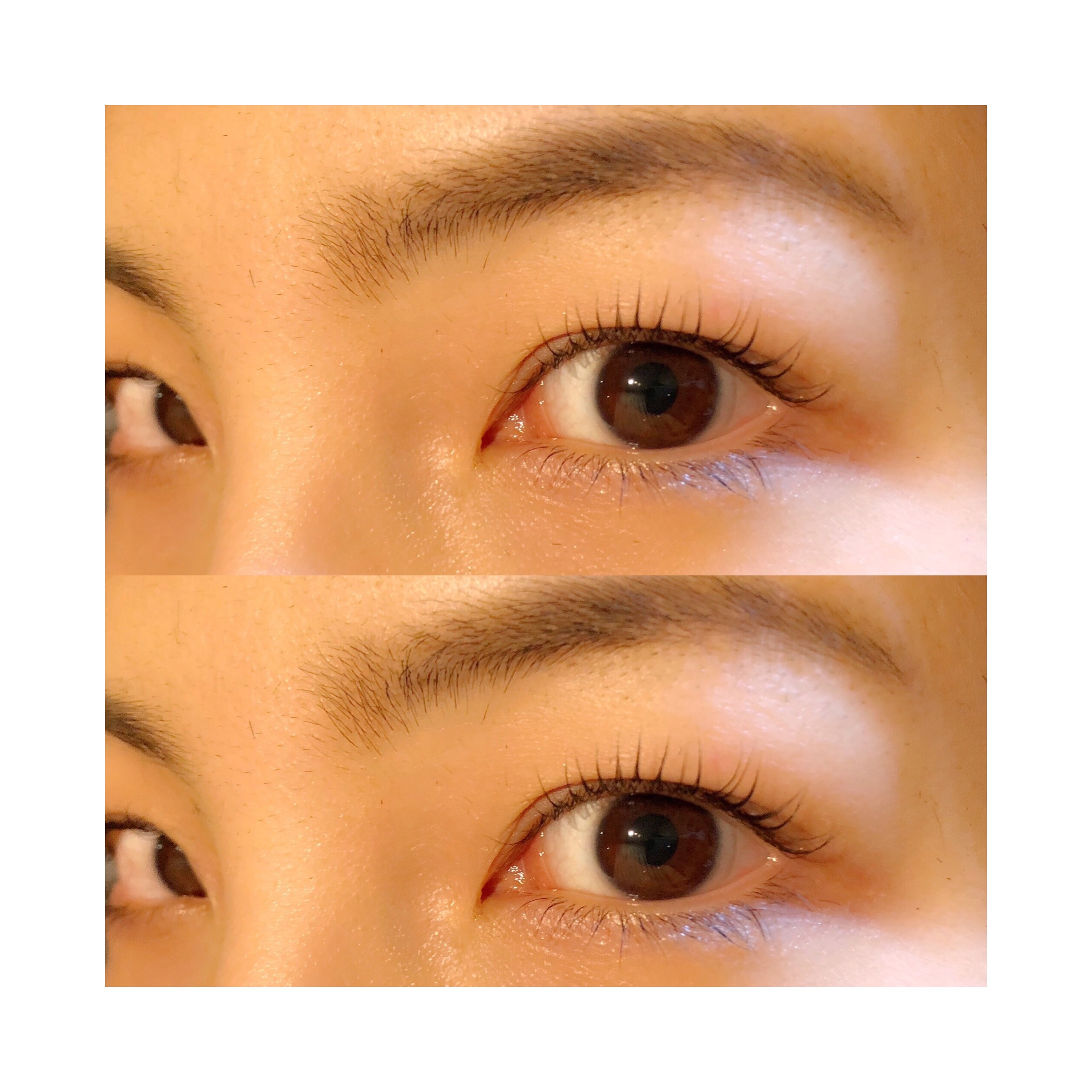 C4DA6B27-275F-43A8-9BAB-D7F6FF1C2DDE