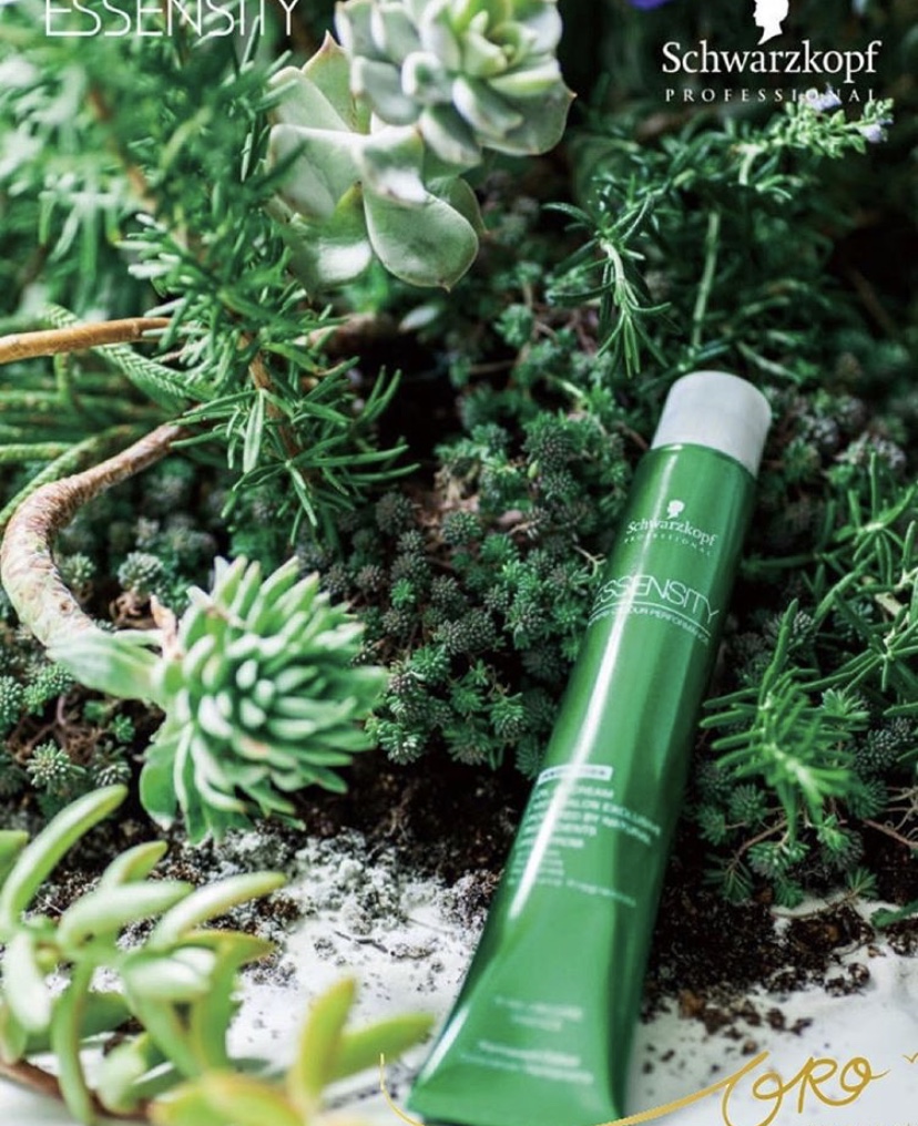 87FA113F-C7D3-43B5-86EE-AF5104676586