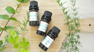 01F3EC63-0695-40EC-B642-4DC7B39FD463