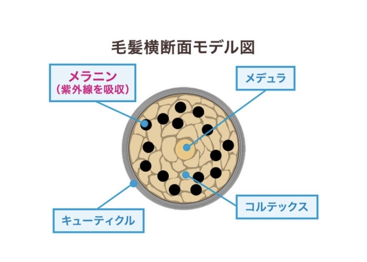 517403F1-3CB4-42CF-BC51-70CBEE5015D4