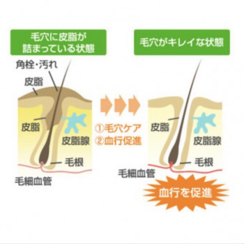 57012E97-E04A-477F-B8C0-0CADA3D6EF58