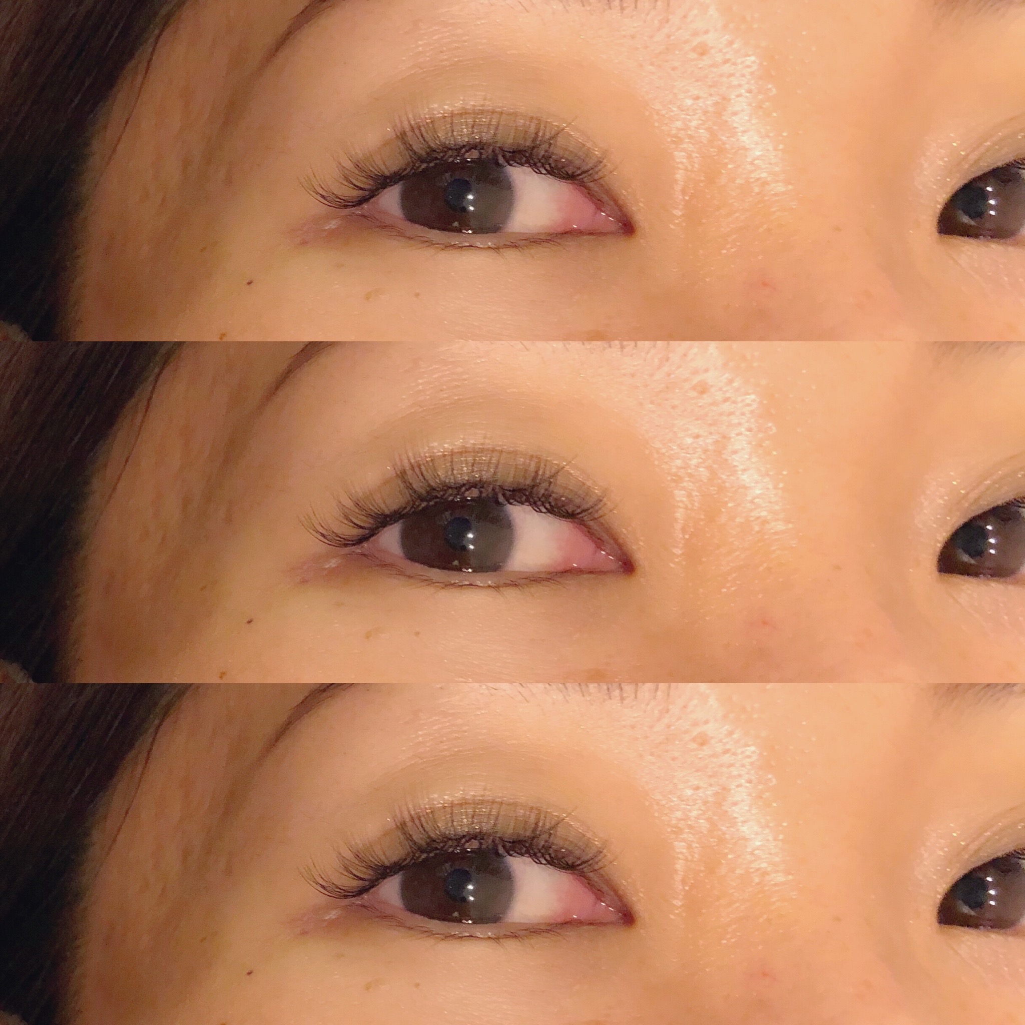 C675540B-F0DA-48D3-8E3E-937DCA47F1BA