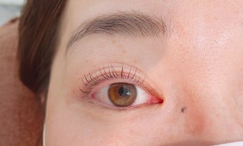 CEA671D6-884D-4A75-B1E2-DCFA1FA23F9E