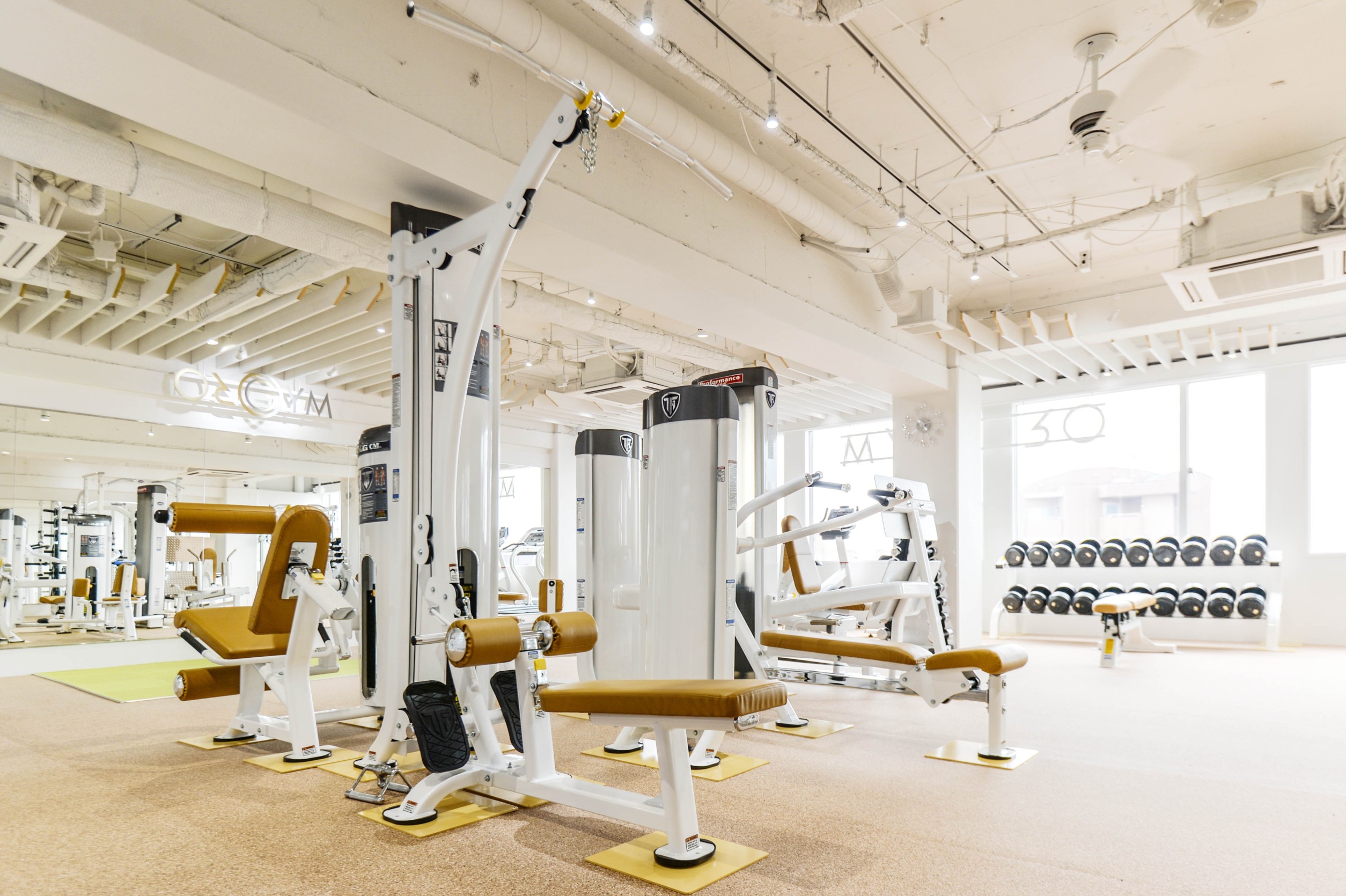 BC9E724D-9B71-4D68-8E9C-87A8AB453EDA