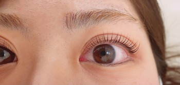 0C6CA5AA-628B-4AD6-B8B0-1608A73C1BA5