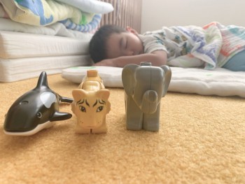 121935CB-8462-4977-91F9-F983817AD8F9