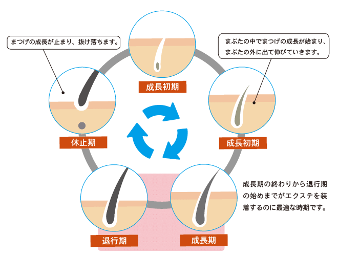 447BD051-2952-458A-86D9-16CB65CF52E3