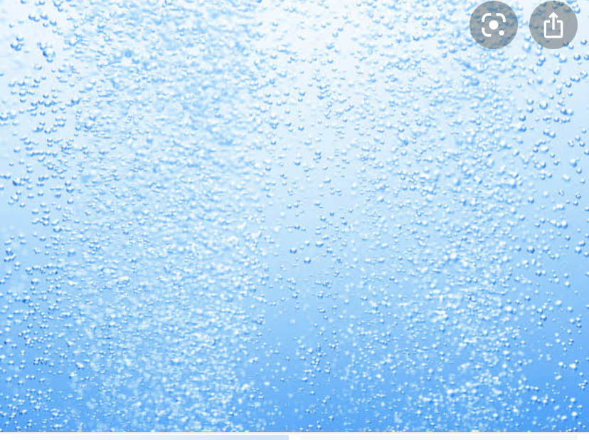 35A90444-668B-47BB-9516-038B9A79E27C