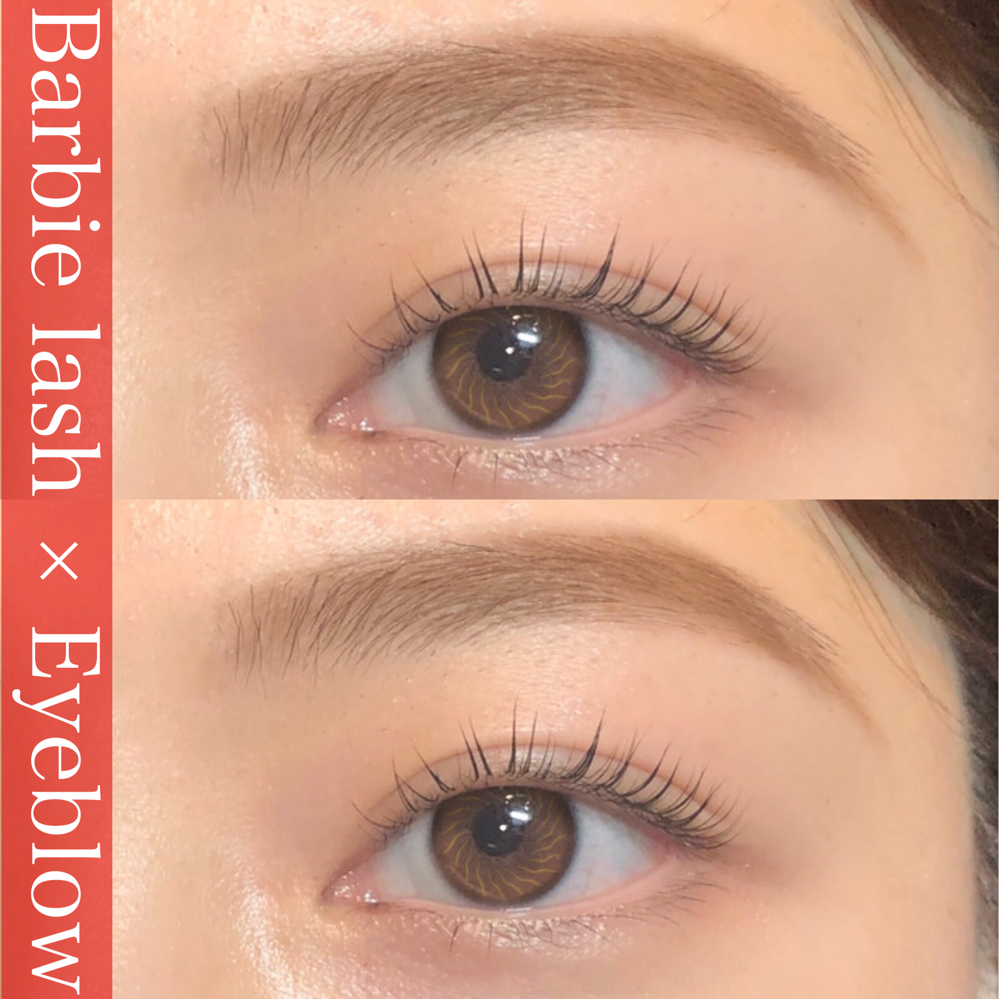 00FF51B6-F790-4114-B144-8E75881D2257