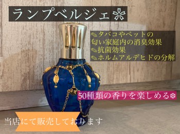4A7A07E3-D3DE-4B8F-9783-1EB55E27CA0B