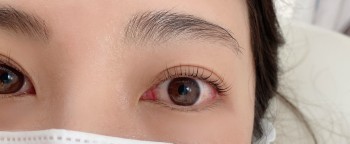 39009A26-680B-41EE-8032-F3BFD0837950