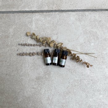 50797D03-96BD-4A7E-B851-984AB9F76F23