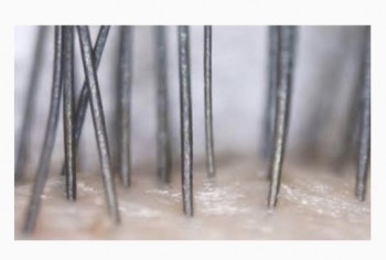 932D9FB5-61C5-438B-B27B-0429715ACBF7