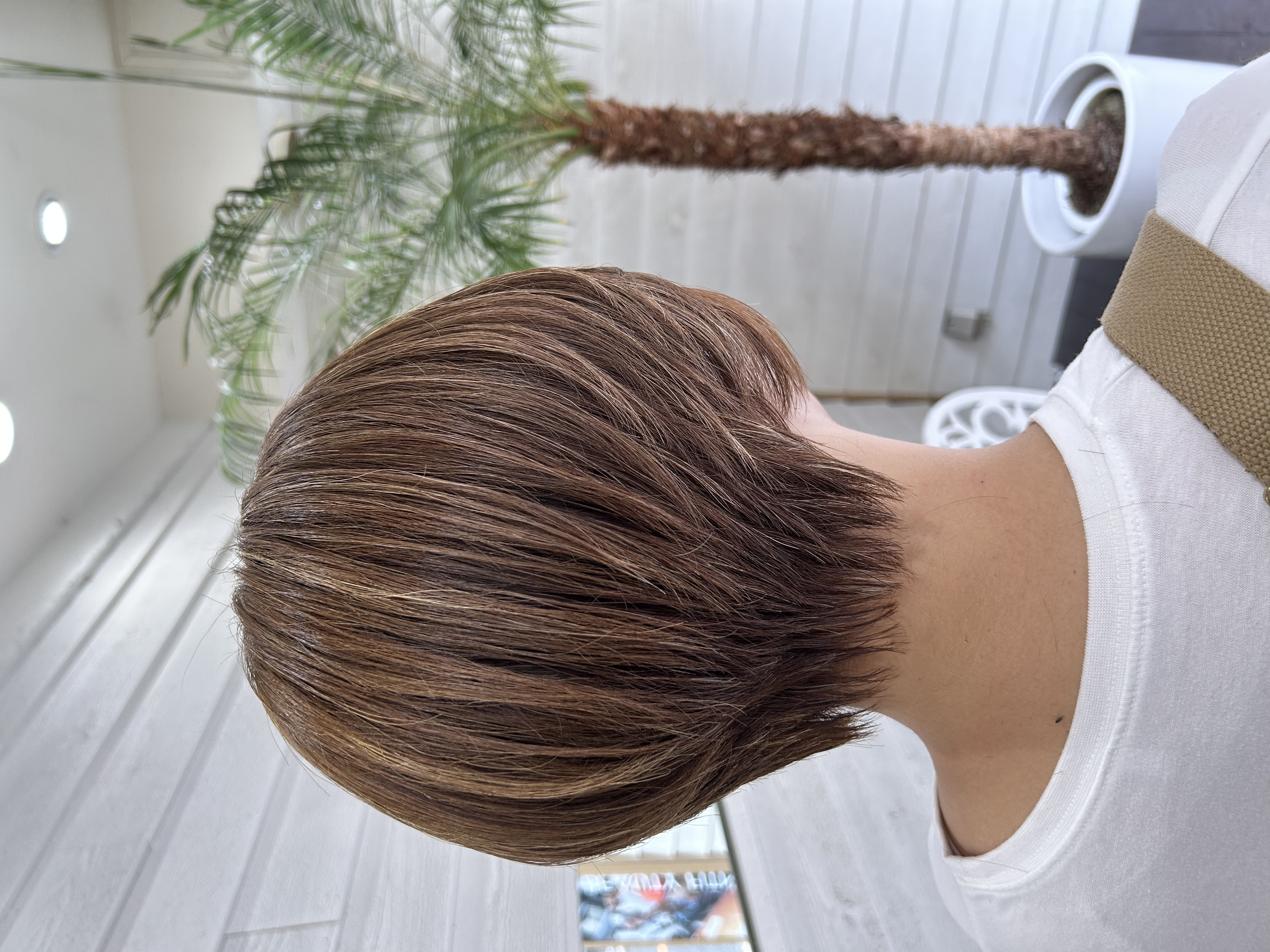 368FA627-DAE3-4B00-A895-E2B8398D0F91